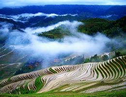 龙脊梯田